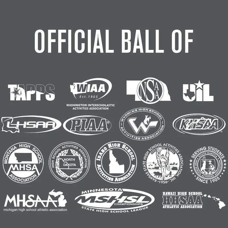 Baden | Perfection Premium Leather Indoor Official Game Volleyball 13U to College Official Size + NFHS+White