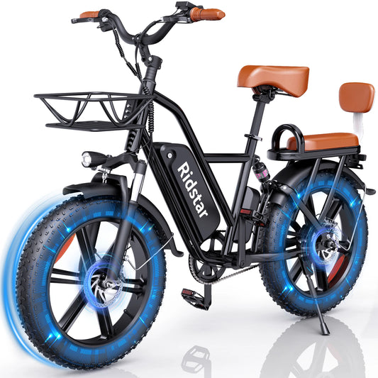 Ridstar FM-001 Electric Bicycle 1000W 48V 15AH Road City Ebike for Adult 20Inch Fat Tire  Beach Mountain