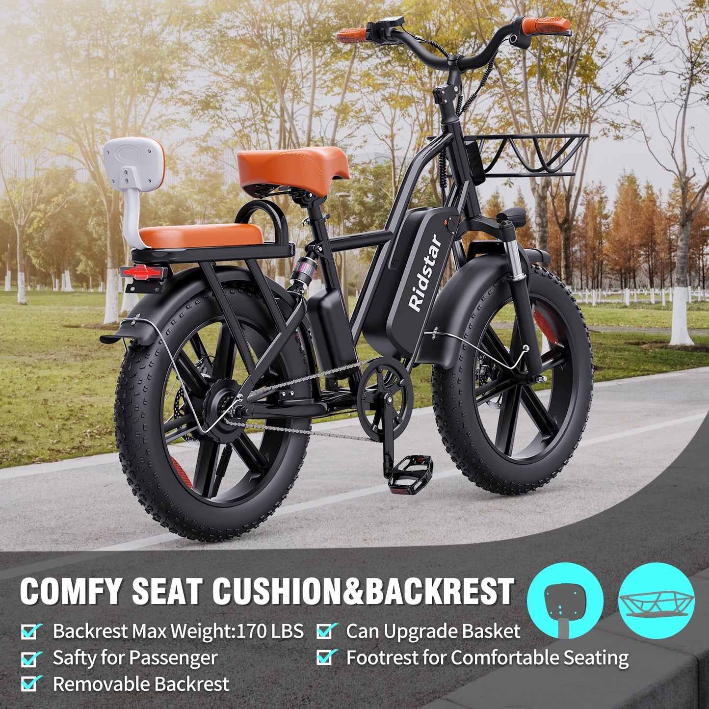 Ridstar FM-001 Electric Bicycle 1000W 48V 15AH Road City Ebike for Adult 20Inch Fat Tire  Beach Mountain