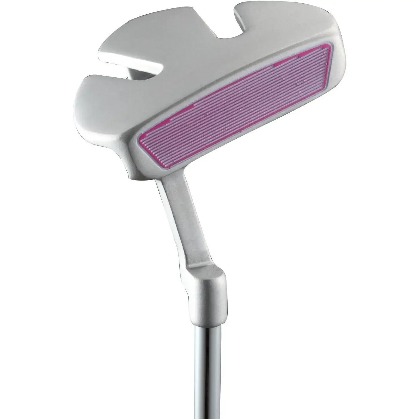 wM5 Womens  Clubs Full Set, Titanium Driver, S.S. Fairway, S.S. Hybrid, S.S. 5-PW Irons, Putter, Stand Bag, 3 H/C's